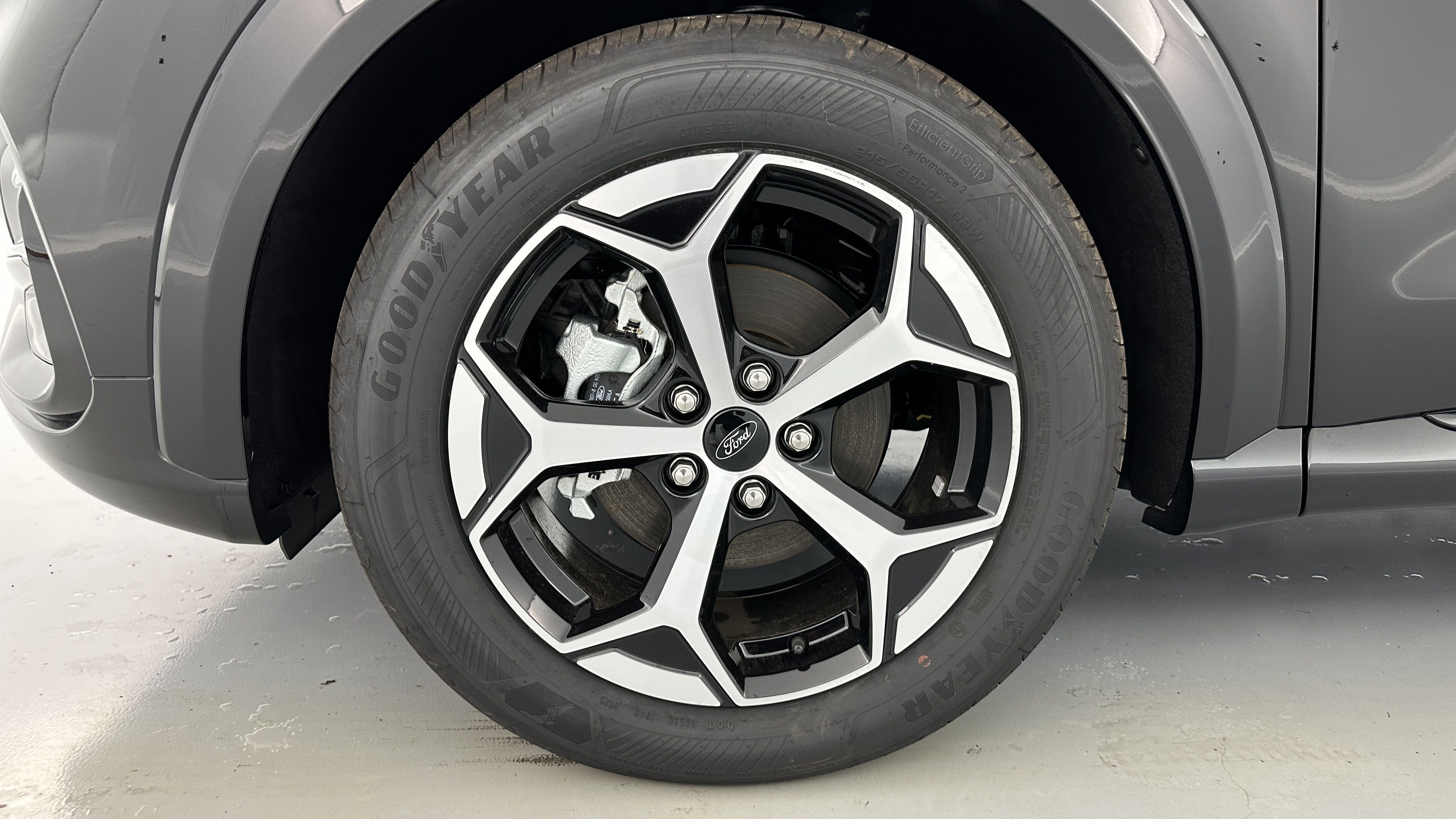 GLI00009879_p53 - FORD - PUMA - 2025 - photo 11