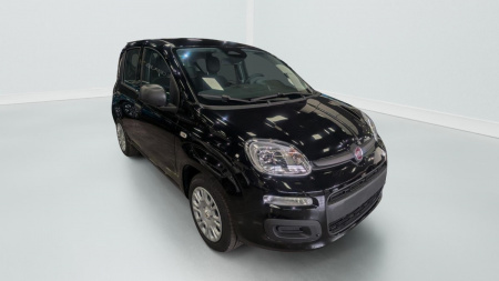 362555_p2 - FIAT - PANDA - 2025