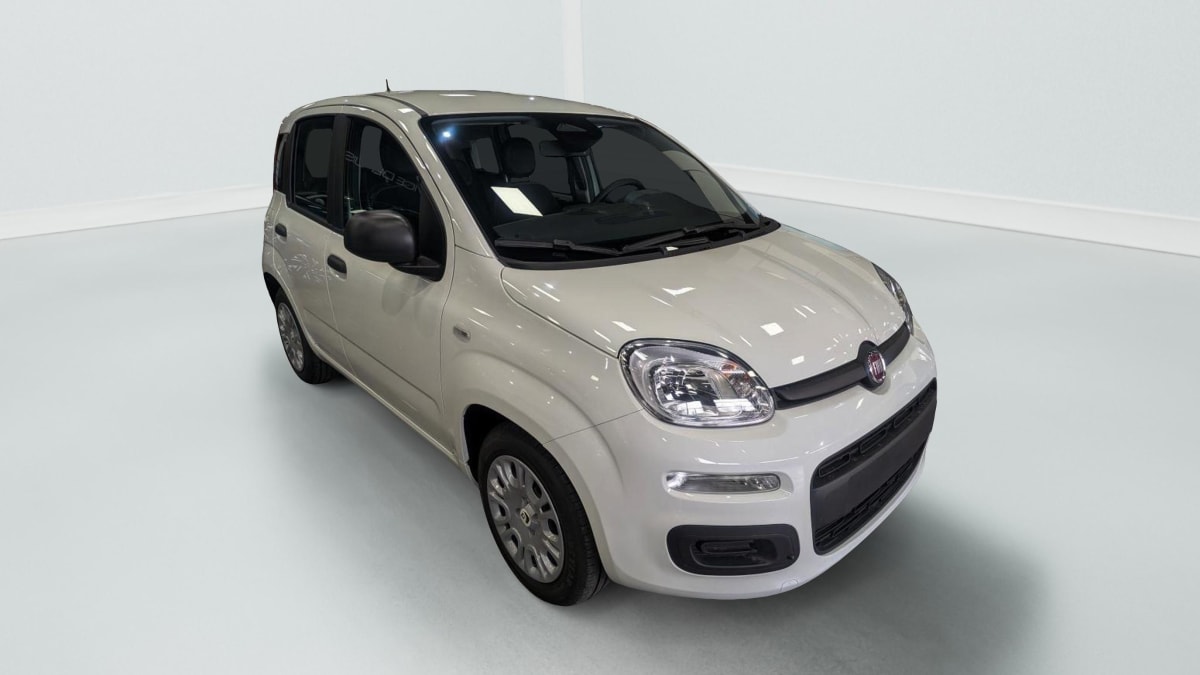 362556_p2 - FIAT - PANDA - 2025 - photo 1