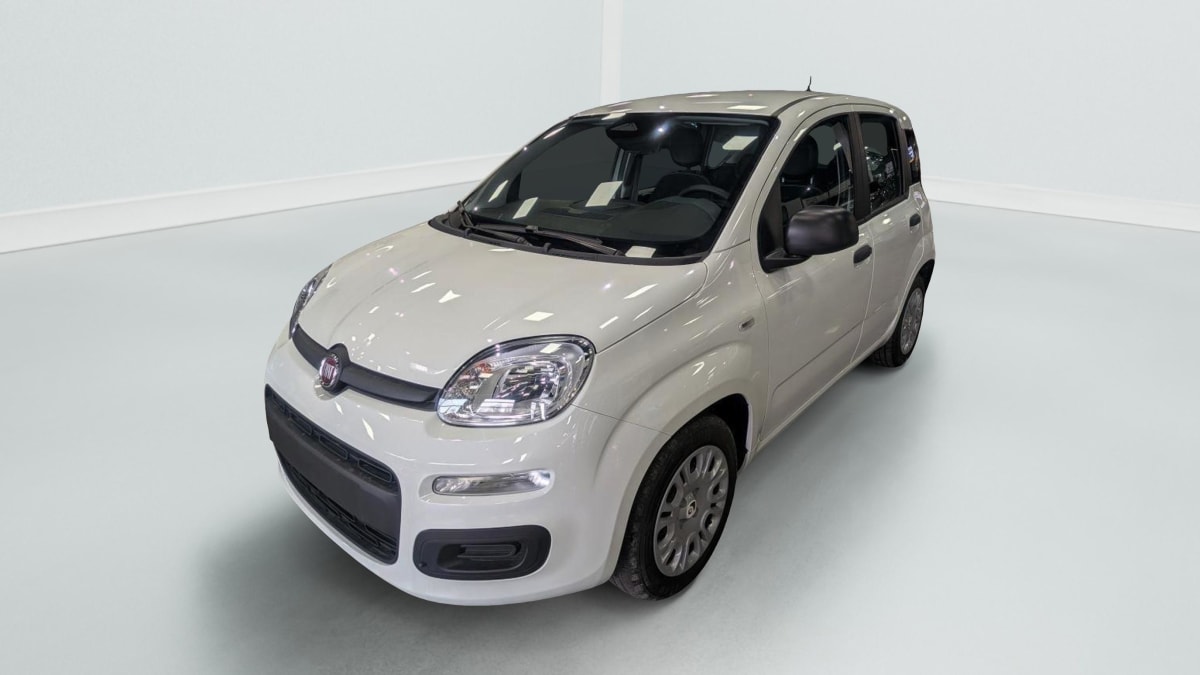 362556_p2 - FIAT - PANDA - 2025 - photo 2