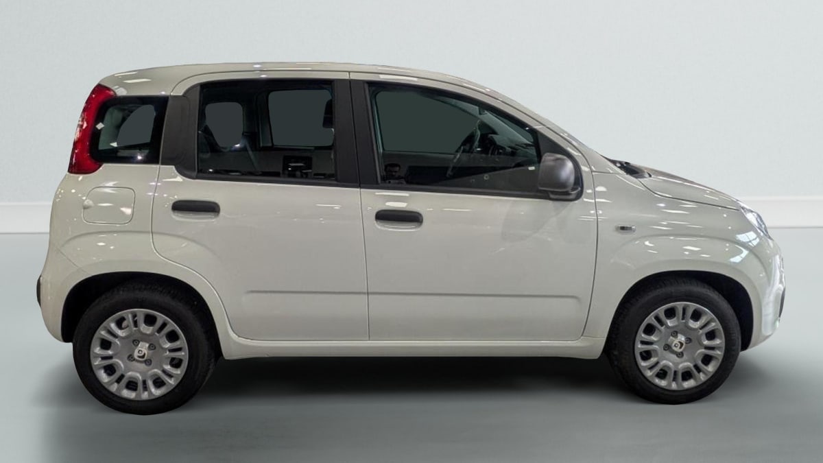362556_p2 - FIAT - PANDA - 2025 - photo 7