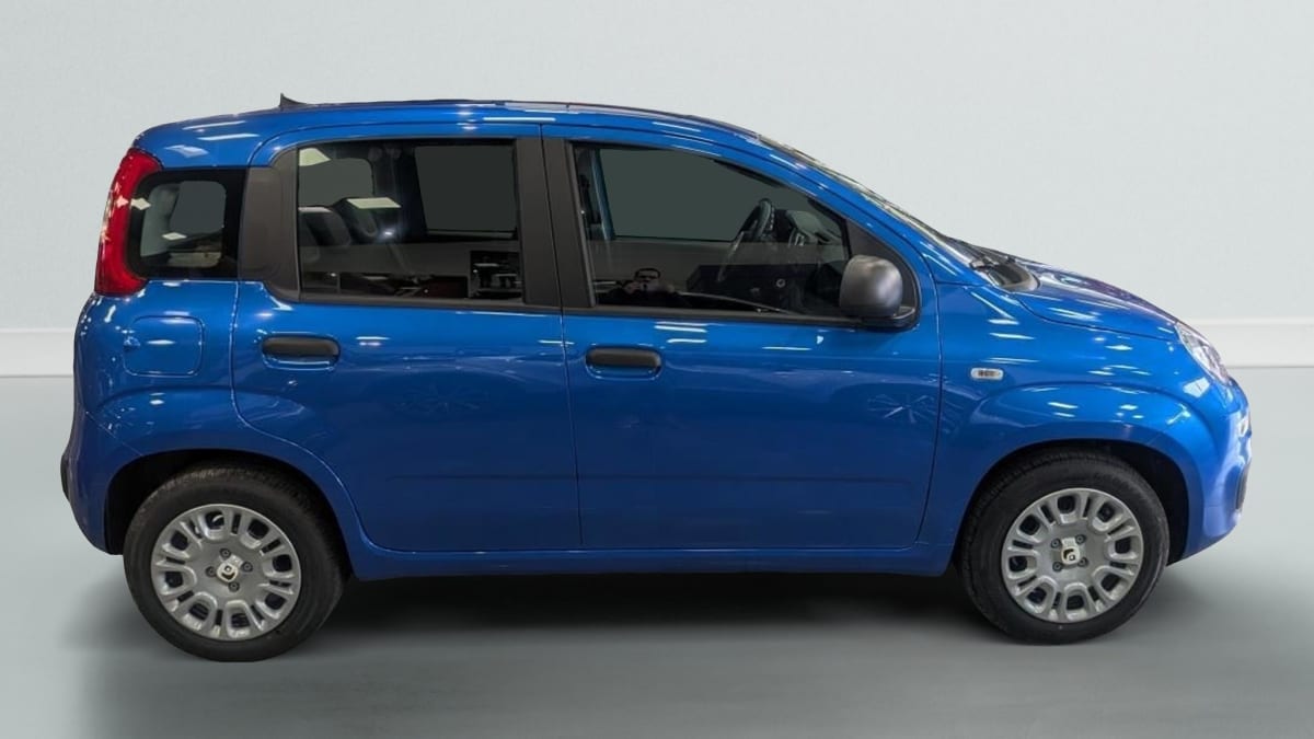 362547_p2 - FIAT - PANDA - 2025 - photo 7