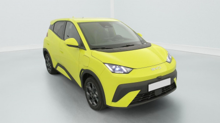 378134_p2 - BYD - DOLPHIN SURF - 2025