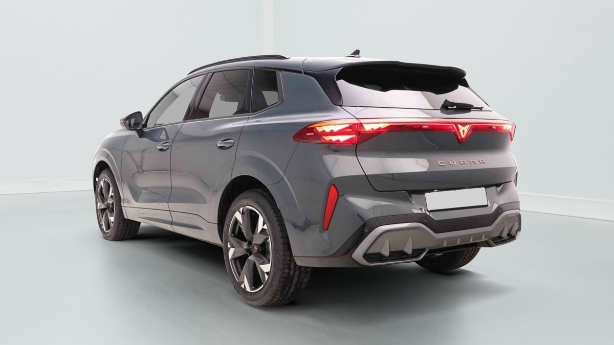 389660_p2 - CUPRA - TERRAMAR - 2026 - photo 4