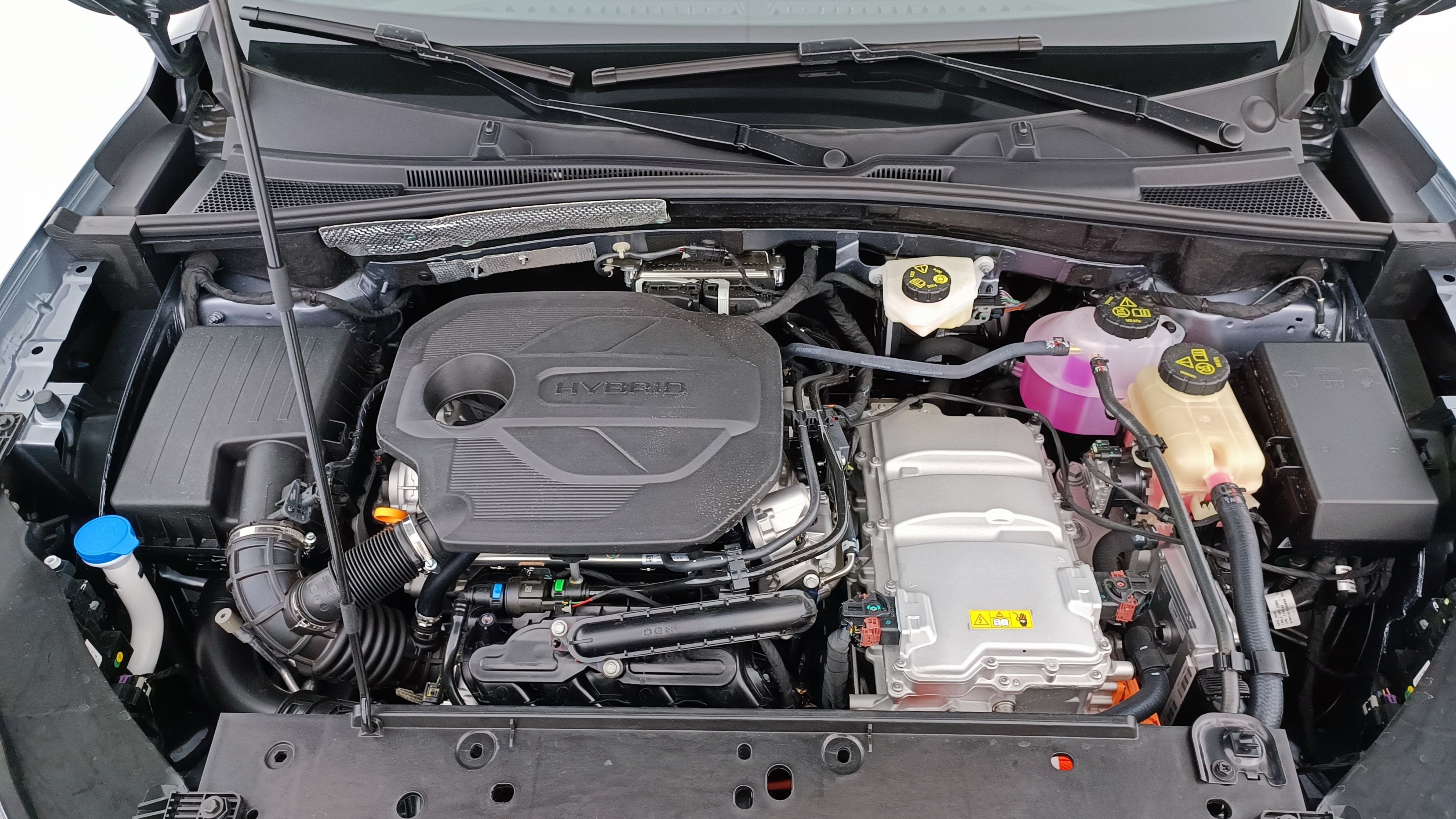 GLI00032454_p53 - MG - ZS - 2026 - photo 11
