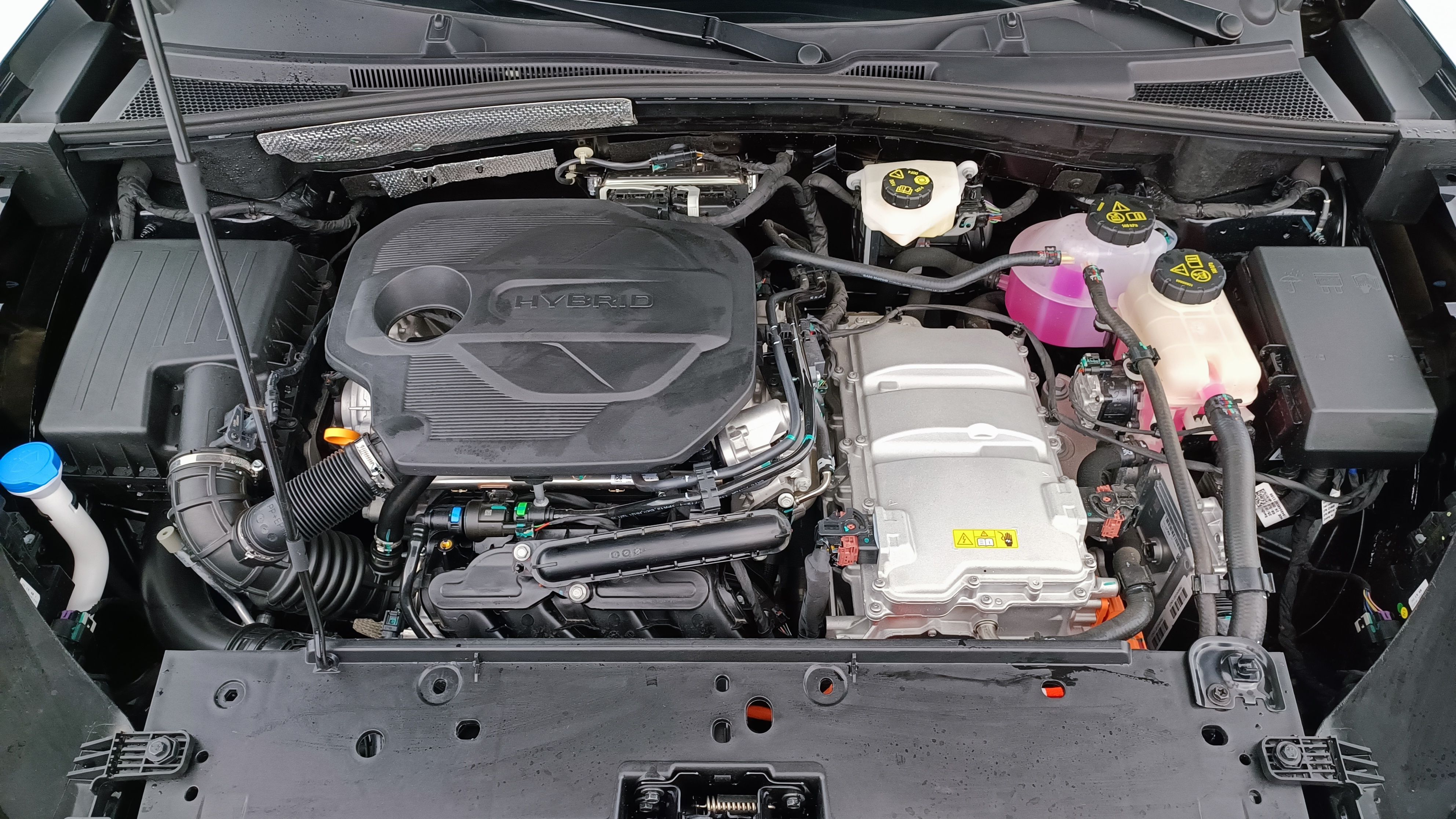 GLI00032451_p53 - MG - ZS - 2026 - photo 11