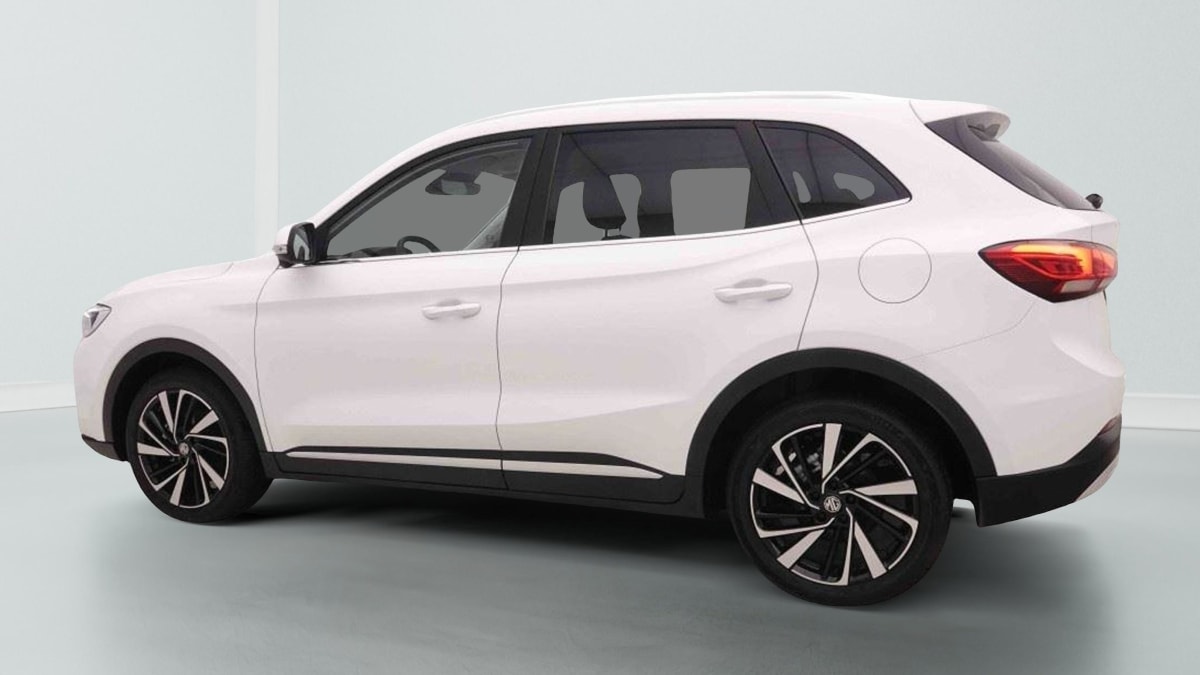 391267_p2 - MG - ZS - 2026 - photo 3