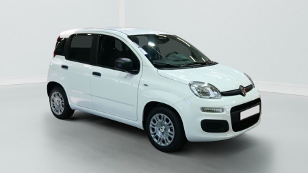 396188_p2 - FIAT - PANDINA - 2026